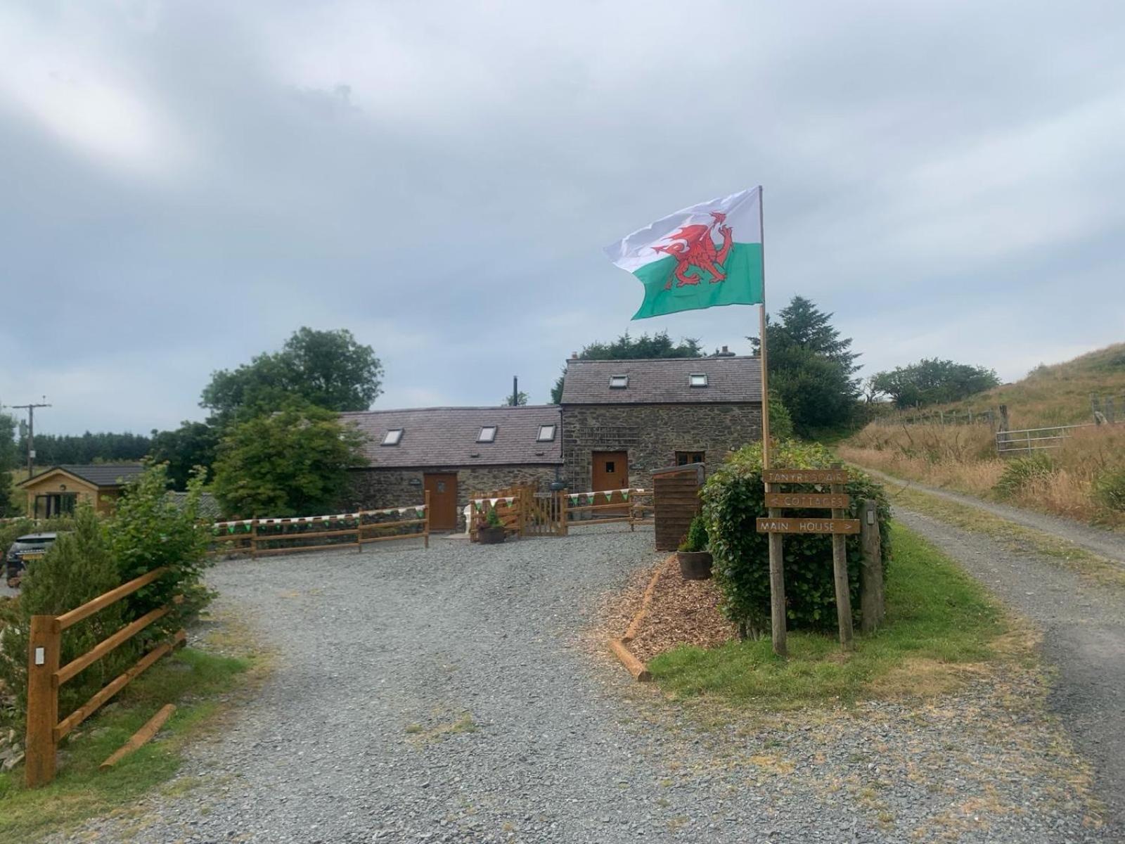 Tanyresgair Cottages Aberystwyth Eksteriør bilde